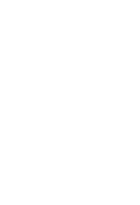 DeepZeka